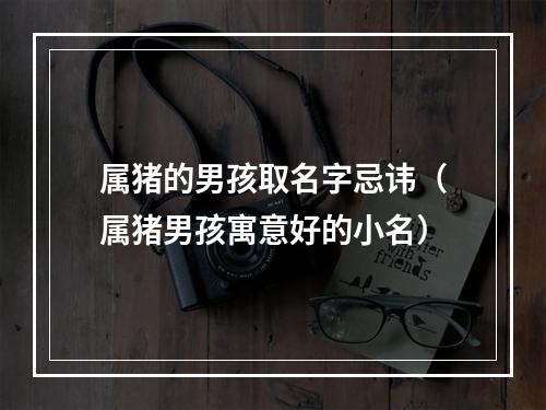 属猪的男孩取名字忌讳（属猪男孩寓意好的小名）