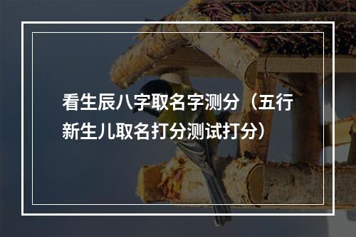 看生辰八字取名字测分（五行新生儿取名打分测试打分）