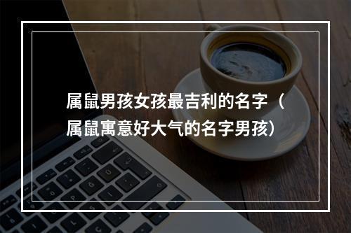 属鼠男孩女孩最吉利的名字（属鼠寓意好大气的名字男孩）