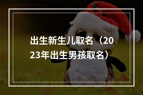 出生新生儿取名（2023年出生男孩取名）