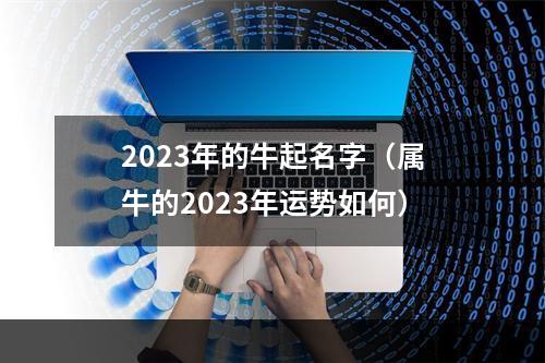 2023年的牛起名字（属牛的2023年运势如何）