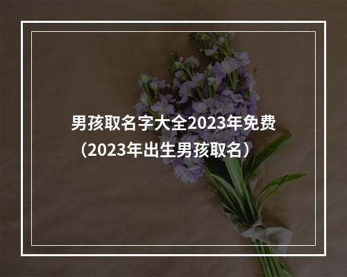 男孩取名字大全2023年免费（2023年出生男孩取名）