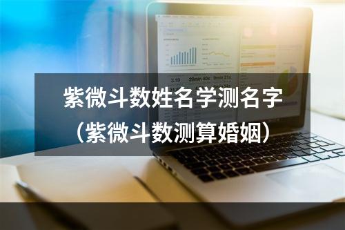 紫微斗数姓名学测名字（紫微斗数测算婚姻）
