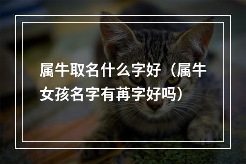 属牛取名什么字好（属牛女孩名字有苒字好吗）