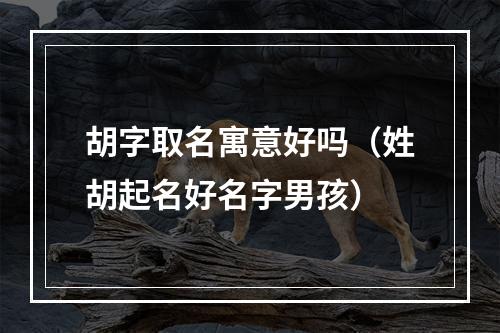 胡字取名寓意好吗（姓胡起名好名字男孩）