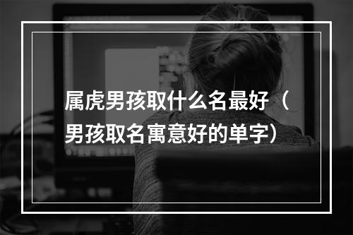 属虎男孩取什么名最好（男孩取名寓意好的单字）