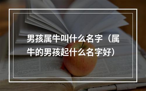 男孩属牛叫什么名字（属牛的男孩起什么名字好）