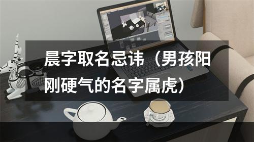晨字取名忌讳（男孩阳刚硬气的名字属虎）