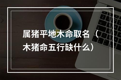 属猪平地木命取名（木猪命五行缺什么）