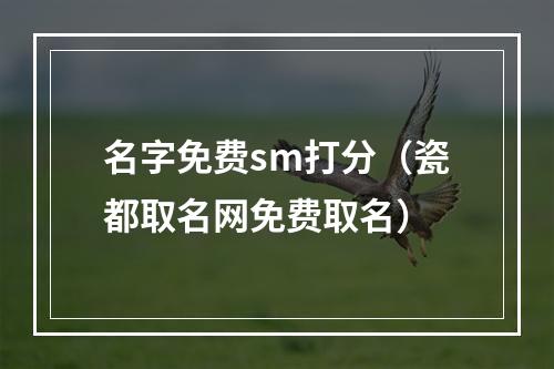 名字免费sm打分（瓷都取名网免费取名）