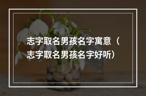 志字取名男孩名字寓意（志字取名男孩名字好听）