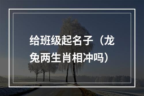 给班级起名子（龙兔两生肖相冲吗）