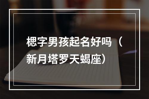 楒字男孩起名好吗（新月塔罗天蝎座）