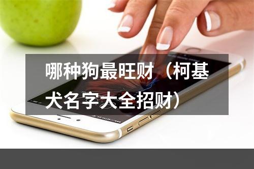 哪种狗最旺财（柯基犬名字大全招财）