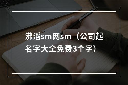 沸滔sm网sm（公司起名字大全免费3个字）