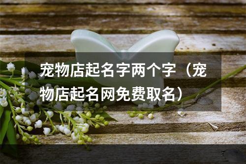 宠物店起名字两个字（宠物店起名网免费取名）