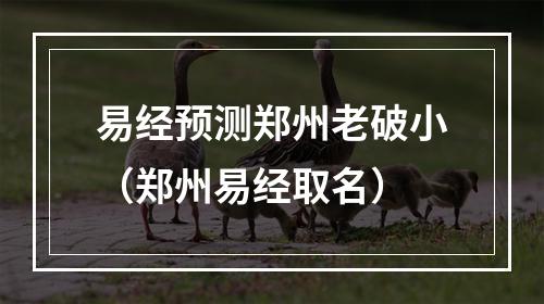易经预测郑州老破小（郑州易经取名）