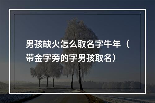 男孩缺火怎么取名字牛年（带金字旁的字男孩取名）