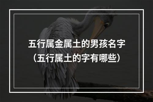 五行属金属土的男孩名字（五行属土的字有哪些）