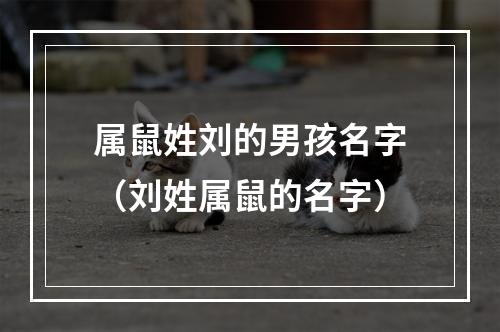 属鼠姓刘的男孩名字（刘姓属鼠的名字）