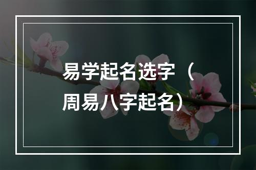 易学起名选字（周易八字起名）