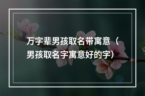 万字辈男孩取名带寓意（男孩取名字寓意好的字）