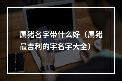 属猪名字带什么好（属猪最吉利的字名字大全）