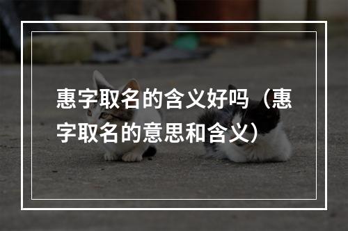 惠字取名的含义好吗（惠字取名的意思和含义）