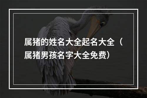 属猪的姓名大全起名大全（属猪男孩名字大全免费）