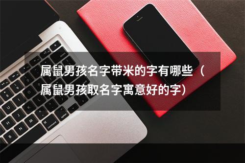 属鼠男孩名字带米的字有哪些（属鼠男孩取名字寓意好的字）