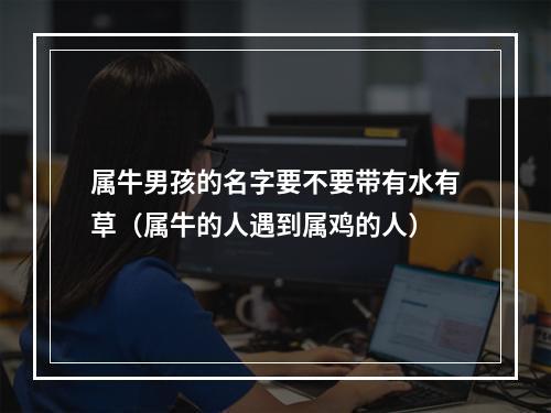 属牛男孩的名字要不要带有水有草（属牛的人遇到属鸡的人）