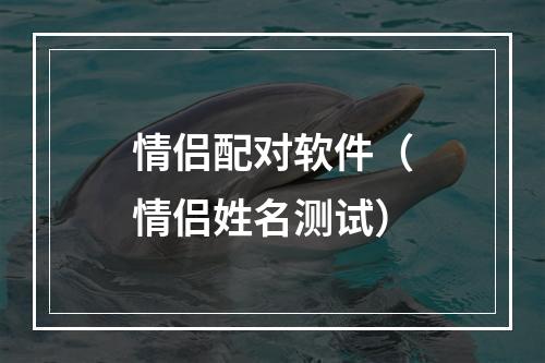 情侣配对软件（情侣姓名测试）