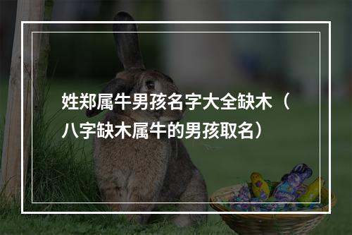 姓郑属牛男孩名字大全缺木（八字缺木属牛的男孩取名）