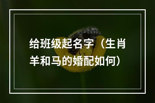 给班级起名字（生肖羊和马的婚配如何）