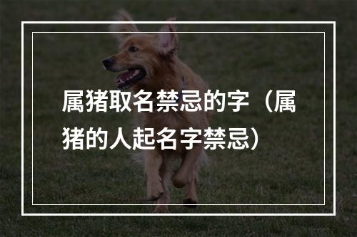 属猪取名禁忌的字（属猪的人起名字禁忌）