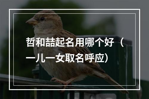 哲和喆起名用哪个好（一儿一女取名呼应）