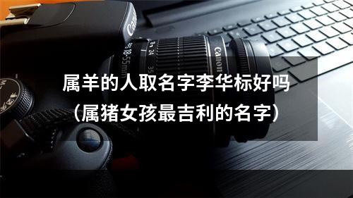 属羊的人取名字李华标好吗（属猪女孩最吉利的名字）