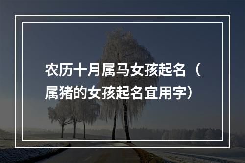 农历十月属马女孩起名（属猪的女孩起名宜用字）
