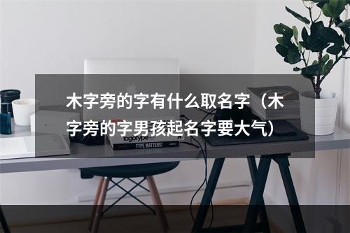 木字旁的字有什么取名字（木字旁的字男孩起名字要大气）
