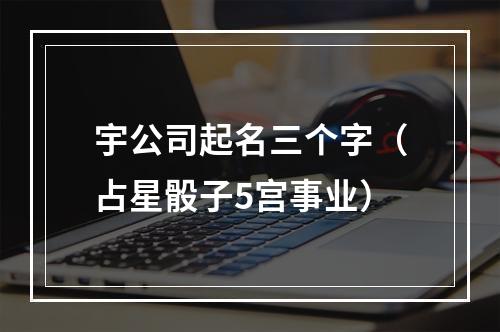 宇公司起名三个字（占星骰子5宫事业）
