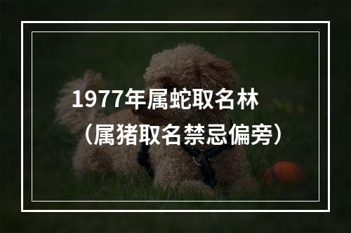 1977年属蛇取名林（属猪取名禁忌偏旁）