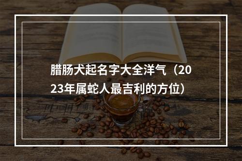 腊肠犬起名字大全洋气（2023年属蛇人最吉利的方位）