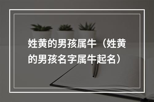 姓黄的男孩属牛（姓黄的男孩名字属牛起名）