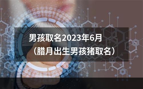 男孩取名2023年6月（腊月出生男孩猪取名）