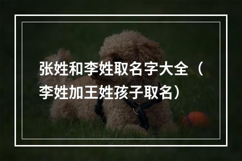 张姓和李姓取名字大全（李姓加王姓孩子取名）