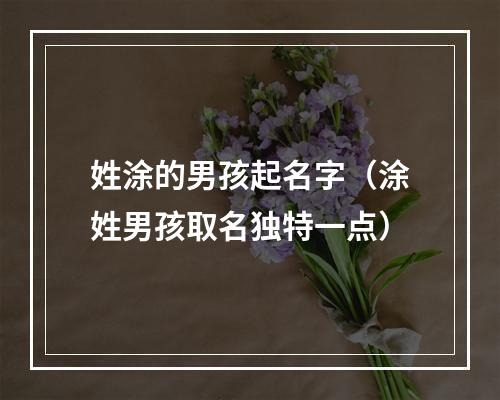 姓涂的男孩起名字（涂姓男孩取名独特一点）