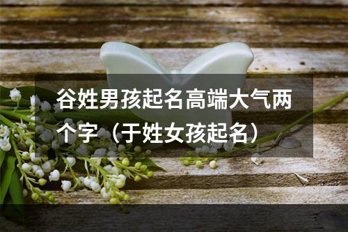 谷姓男孩起名高端大气两个字（于姓女孩起名）
