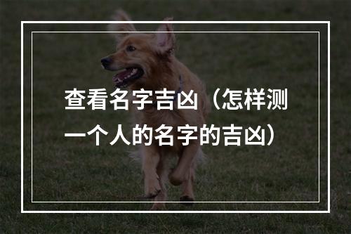 查看名字吉凶（怎样测一个人的名字的吉凶）