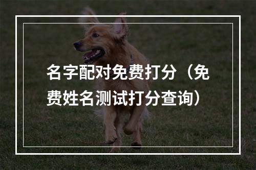名字配对免费打分（免费姓名测试打分查询）