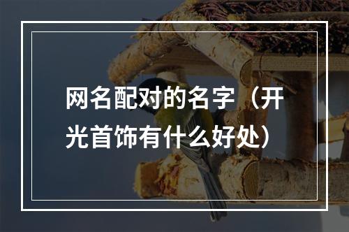 网名配对的名字（开光首饰有什么好处）